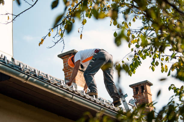 Best Roof Gutter Cleaning  in Parkston, SD