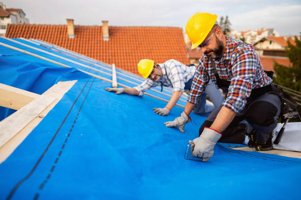 Best Flat Roof Repair Services  in Parkston, SD