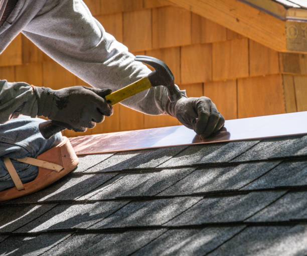 Best Local Roofing Companies  in Parkston, SD